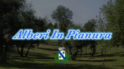 𝗔𝗟𝗕𝗘𝗥𝗜 𝗣𝗘𝗥 𝗟𝗔 𝗣𝗜𝗔𝗡𝗨𝗥𝗔 𝗩𝗘𝗡𝗘𝗧𝗔