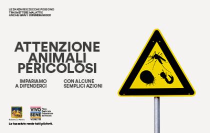 Attività di controllo delle infestazioni da zanzare Attività di controllo delle infestazioni da zanzare