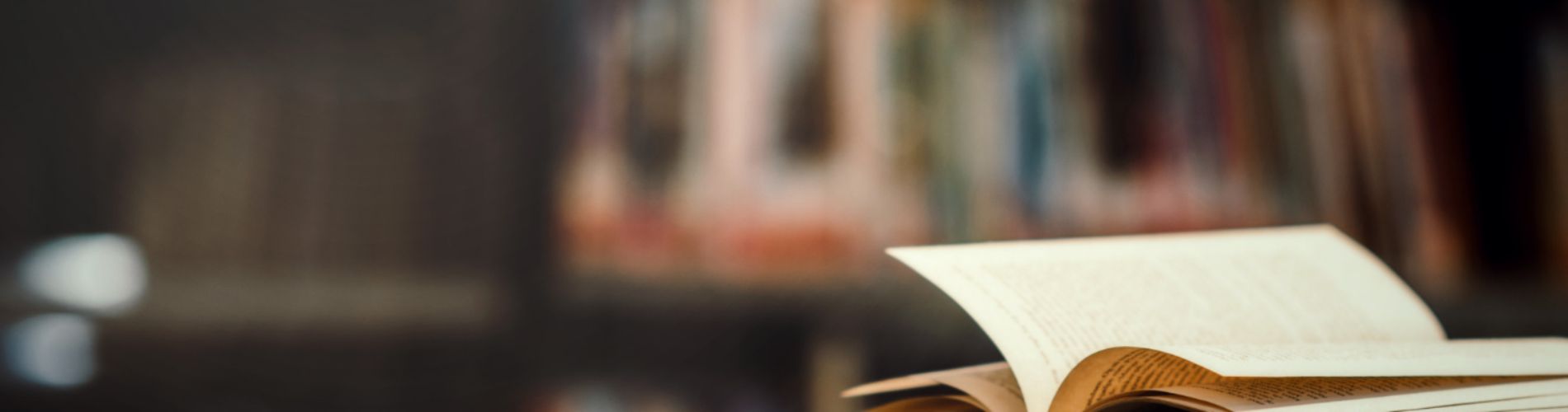 Ufficio Biblioteca di Belvedere