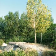 Luglio 2015 - Della passerella tedesca esistono ancora tracce evidenti nelle due sponde_ si notano ancora i grossi tubi cementificati visibili tra la folta vegetazione (foto di Domenico Rigoni)