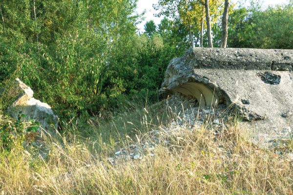 Luglio 2015 - Della passerella tedesca esistono ancora tracce evidenti nelle due sponde- si notano ancora i grossi tubi cementificati visibili tra la folta vegetazione (foto di Domenico Rigoni)