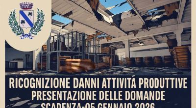 Rendicontazione Ditte